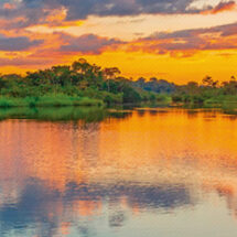 12 de febrero: Día Clásico de la Amazonía y Galápagos