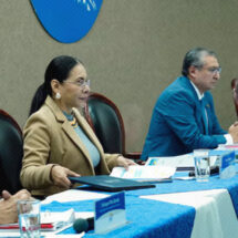 CNE analiza medidas ante denuncias de presunta coacción electoral