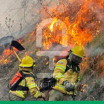 Loja registra tres incendios forestales en pleno inicio del verano y revive el temor de tragedias pasadas