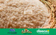 Arroz: el cereal que alimenta al mundo en su día internacional