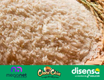 Arroz: el cereal que alimenta al mundo en su día internacional