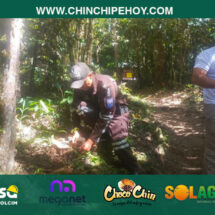 Policía y guardaparques siembran 120 cedros en Podocarpus para restaurar ecosistemas y proteger el agua