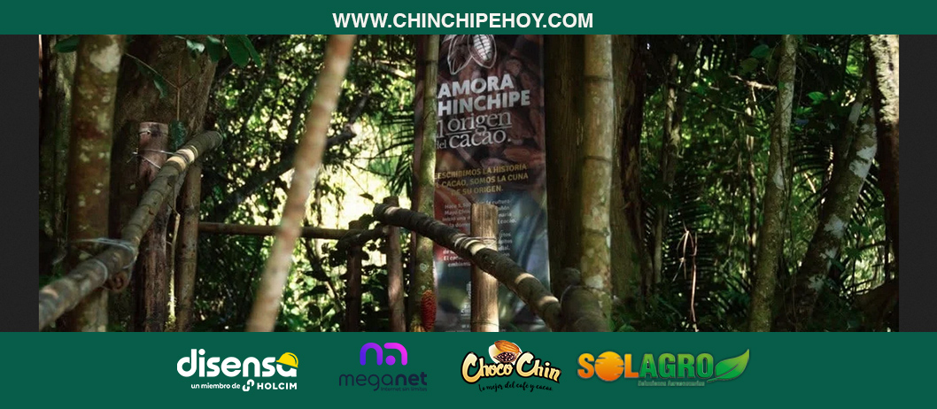 Turismo comunitario: Qué ofrece el nuevo sendero del cacao ancestral en Cuje Alto con árboles de hasta 300 años?