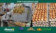 Economía y alimentación en Loja: Cuánto subieron el huevo y el pollo en Loja y qué temen los consumidores