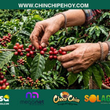 Café, producción y desarrollo en la provincia: Qué espera Palanda en la XIV edición de Bracamoros Coffee para consolidar su café de especialidad?