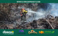 Justicia ambiental en Quito: Qué pasará con el hombre que provocó un incendio forestal en Quito y reconoció el delito